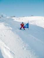 Alta Val Badia (146), Dolomiti (70), Sara d D (8), Sci Alpino (290)